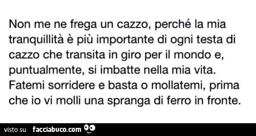 Non me ne frega un cazzo, perché la mia tranquillità è più importante di ogni testa di cazzo che transita in giro per il mondo e, puntualmente, si imbatte nella mia vita. Fatemi sorridere e basta o mollatemi, prima che io vi molli una spranga di ferro in 