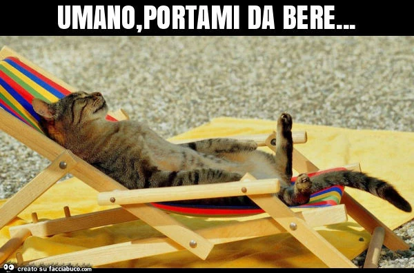 Umano, portami da bere