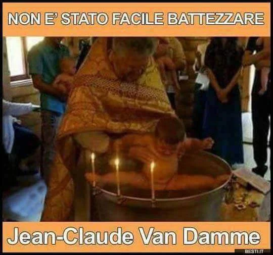 Vaccata