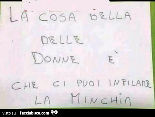 La cosa bella delle donne è che ci puoi infilare la minchia