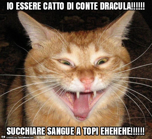 Io essere catto di conte dracula! Succhiare sangue a topi ehehehe