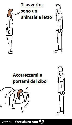 Ti avverto, sono un animale a letto. Accarezzami e portami del cibo