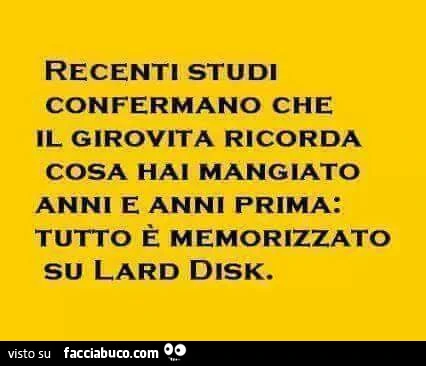 Recenti studi confermano che il girovita ricorda cosa hai mangiato anni e anni prima: tutto è memorizzato su lard disk