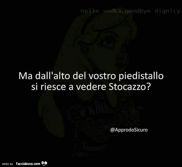 Ma dall'alto del vostro piedistallo si riesce a vedere stocazzo?