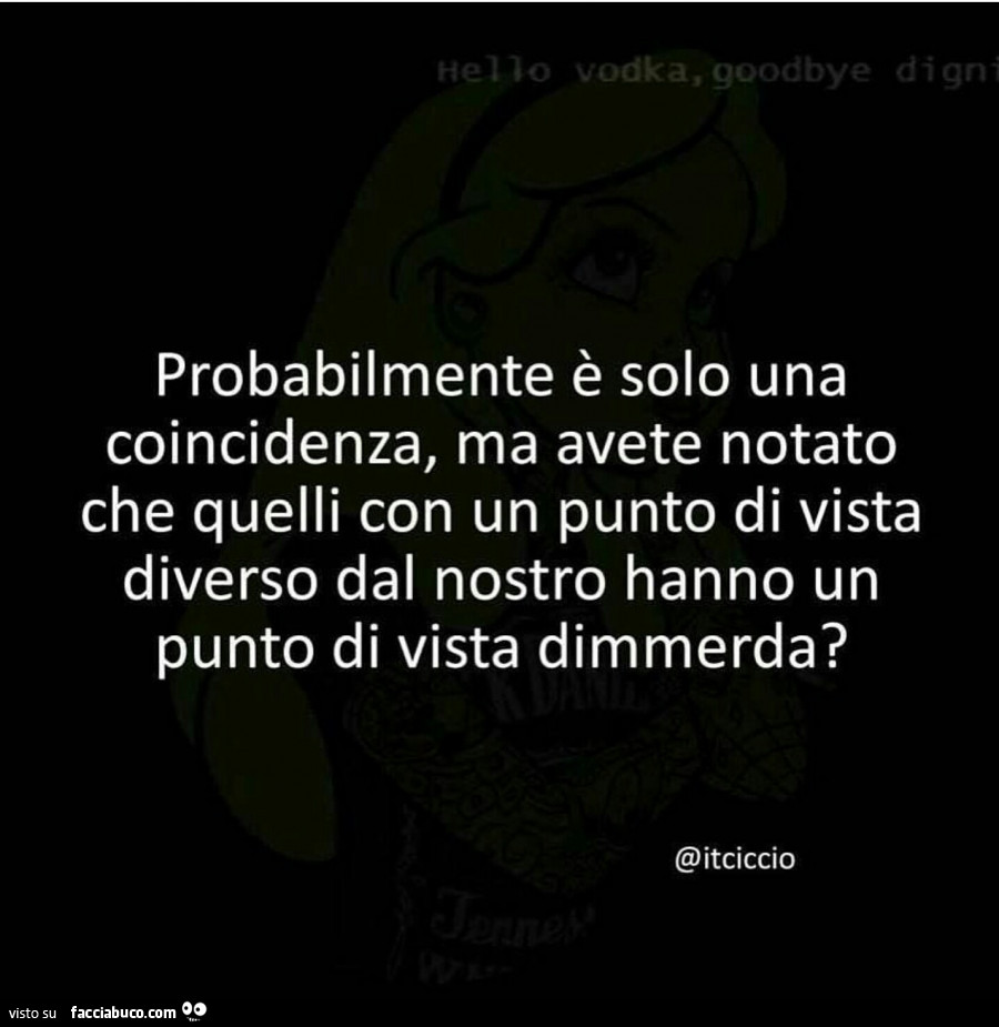 Probabilmente è solo una coincidenza, ma avete notato che quelli con un punto di vista diverso dal nostro hanno un punto di vista dimmerda?