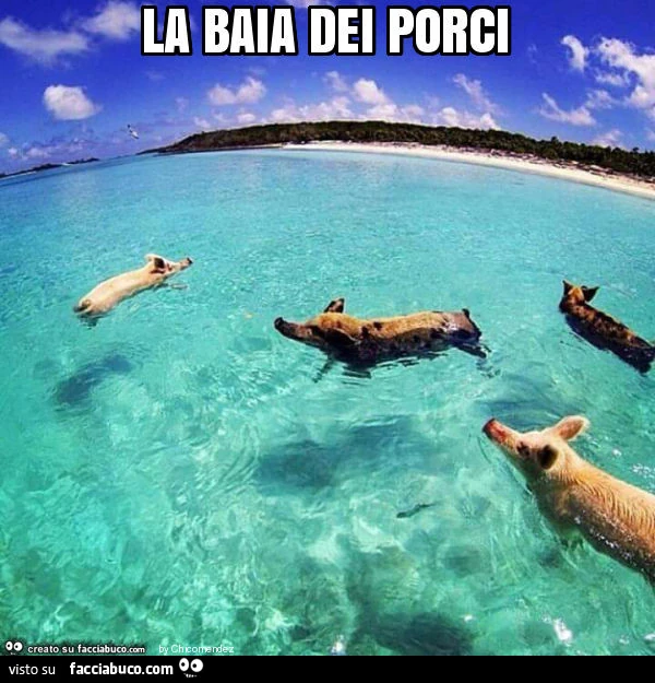 La baia dei porci
