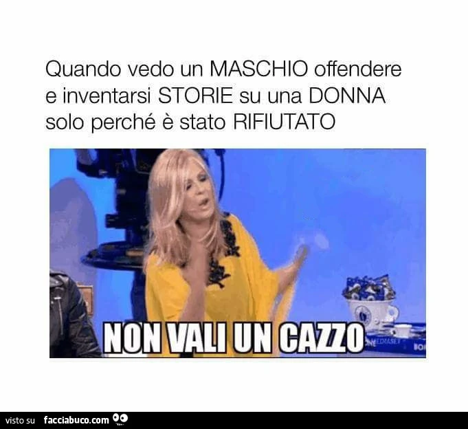 Quando vedo un maschio offendere e inventarsi storie su una donna solo perché è stato rifiutato. Non vali un cazzo