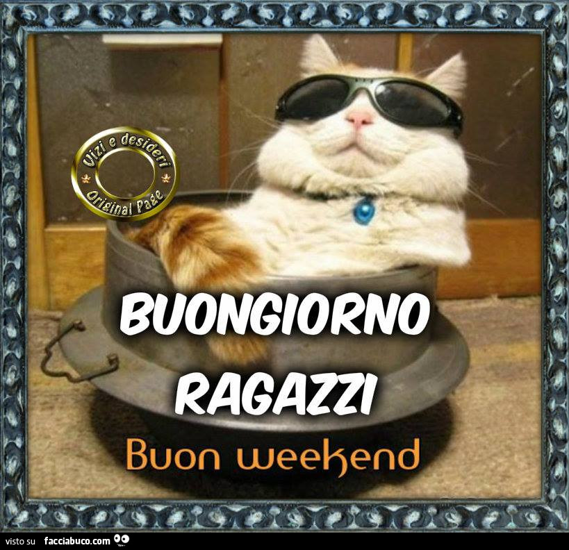 Gatto con gli occhiali da sole. Buongiorno ragazzi, buon weekend