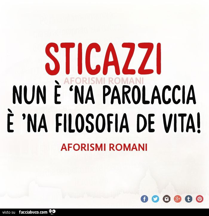 Sticazzi nun è 'na parolaccia è 'na filosofia de vita