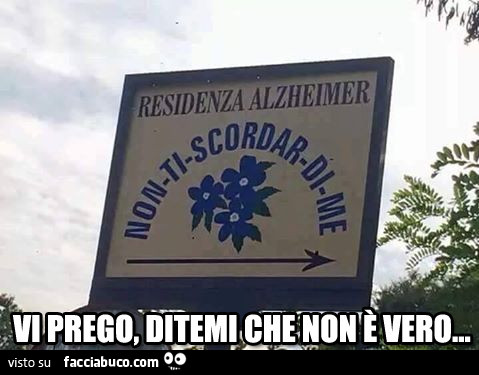 Residenza Alzheimer non ti scordar di me. Vi prego, ditemi che non è vero