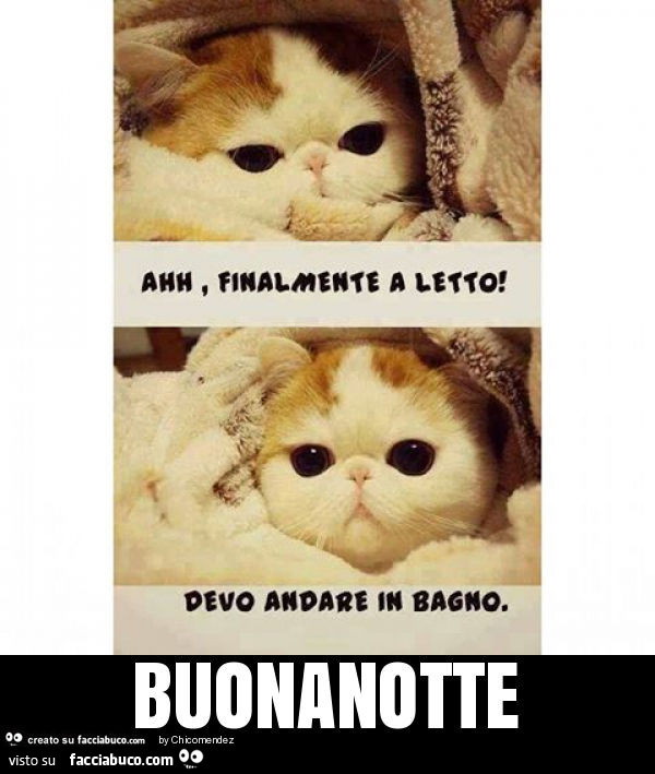 Buonanotte