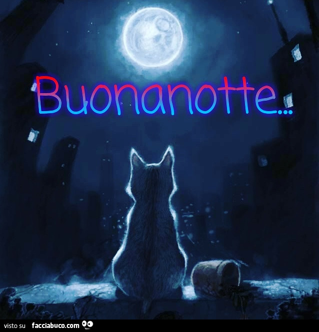 Gatto che guarda la luna: buonanotte