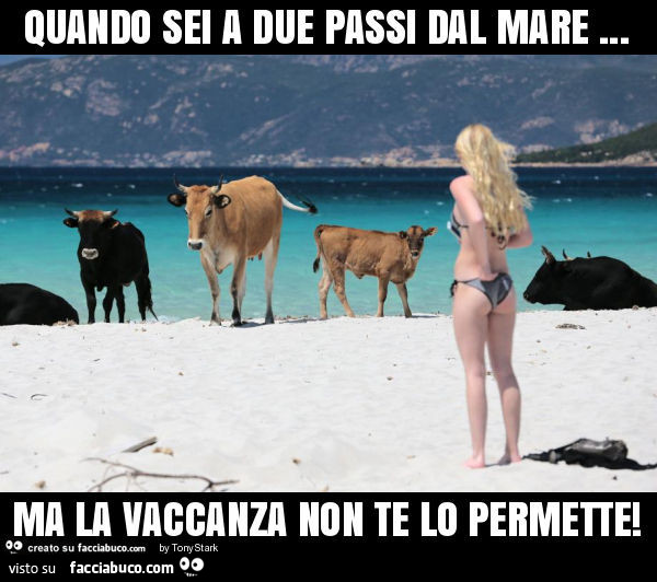 Da pigmentary nota la Corea