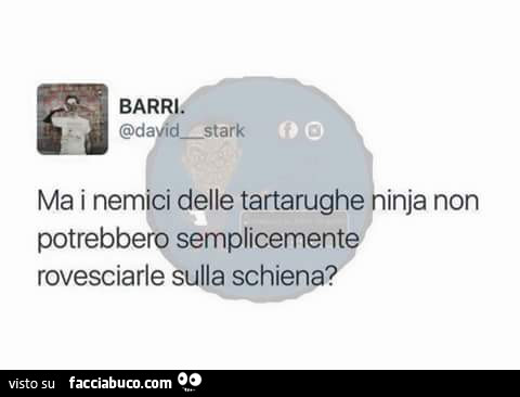 Ma i nemici delle tartarughe ninja non potrebbero semplicemente rovesciarle sulla schiena?