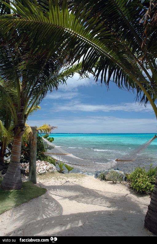 Palme, spiaggia e mare splendido