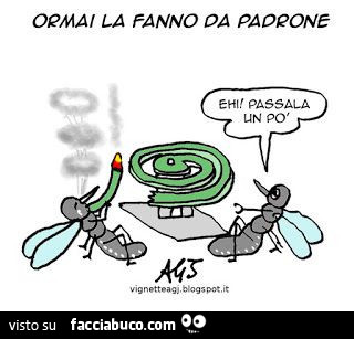 Vaccata