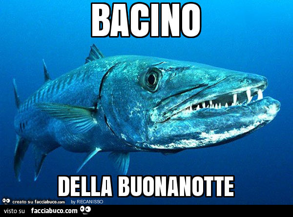 Bacino della buonanotte