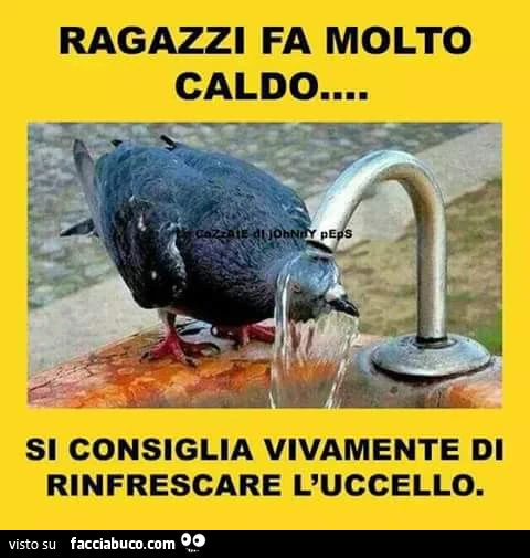 Ragazzi fa molto caldo, si consiglia vivamente di rinfrescare l'uccello