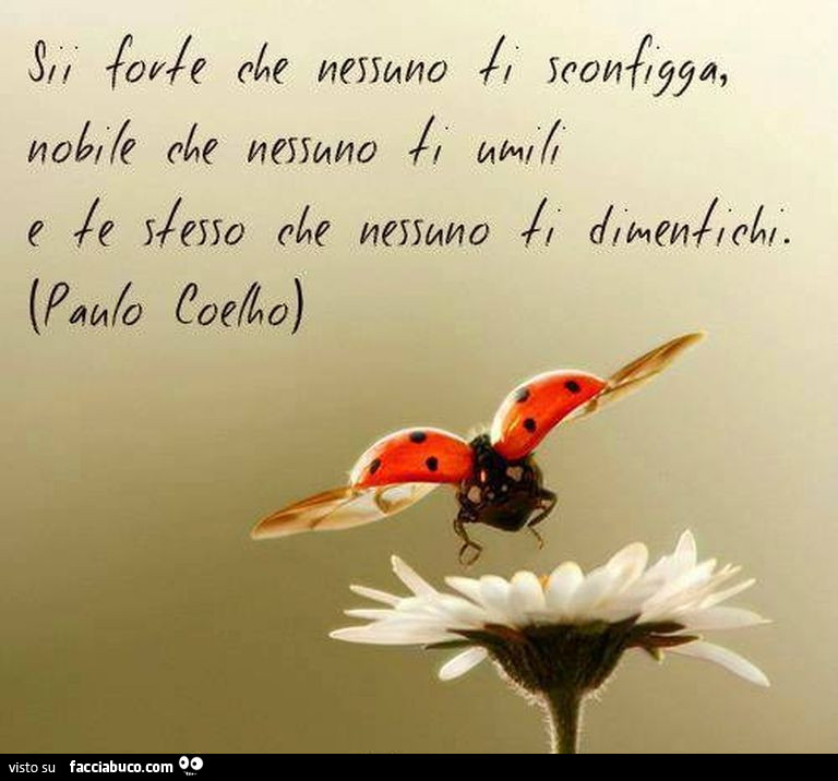 Sii forte che nessuno ti sconfigga, nobile che nessuno ti umili e te stesso che nessuno ti dimentichi. Paulo Coelho