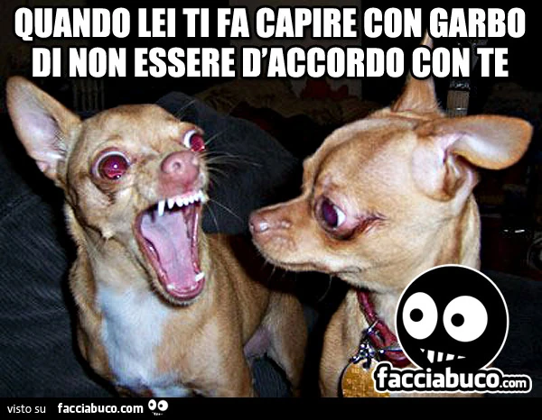 Quando lei ti fa capire con garbo di non essere d'accordo con te
