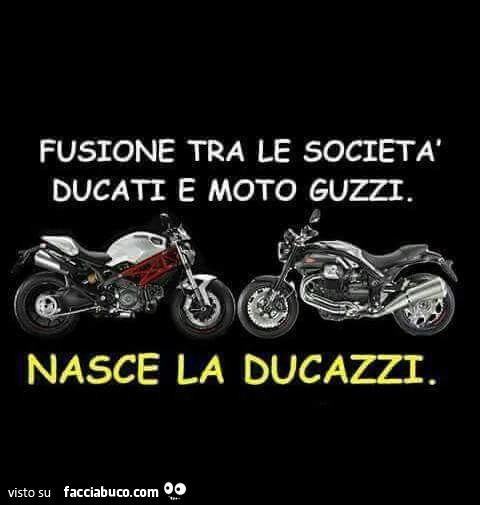 Fusione tra le società ducati e moto guzzi. Nasce la ducazzi