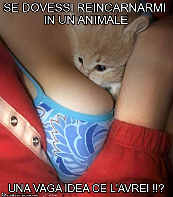 Se dovessi reincarnarmi in un animale una vaga idea ce l'avrei!?