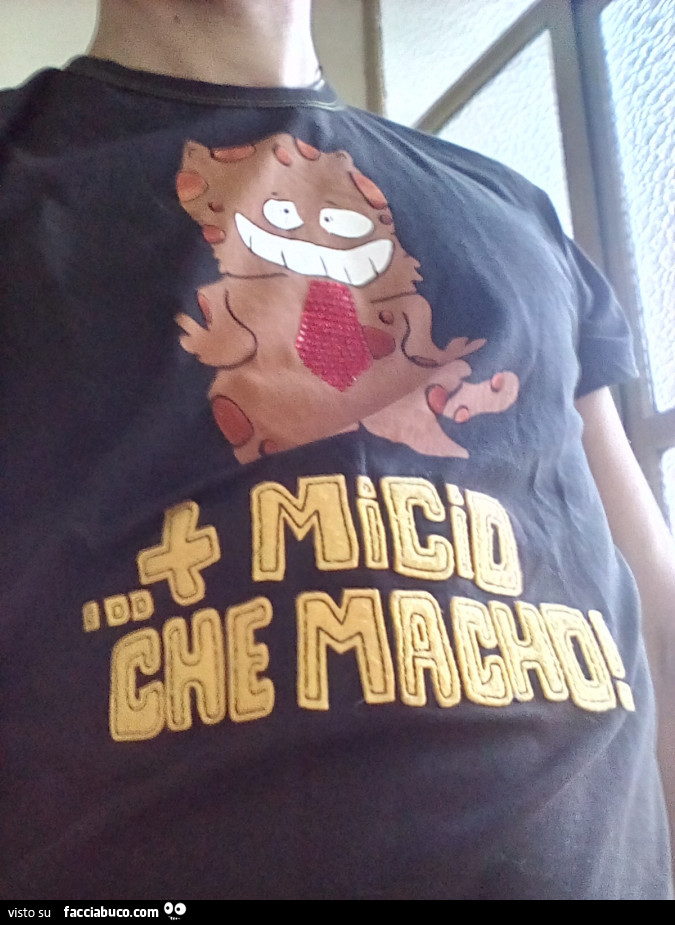 Più micio che macho