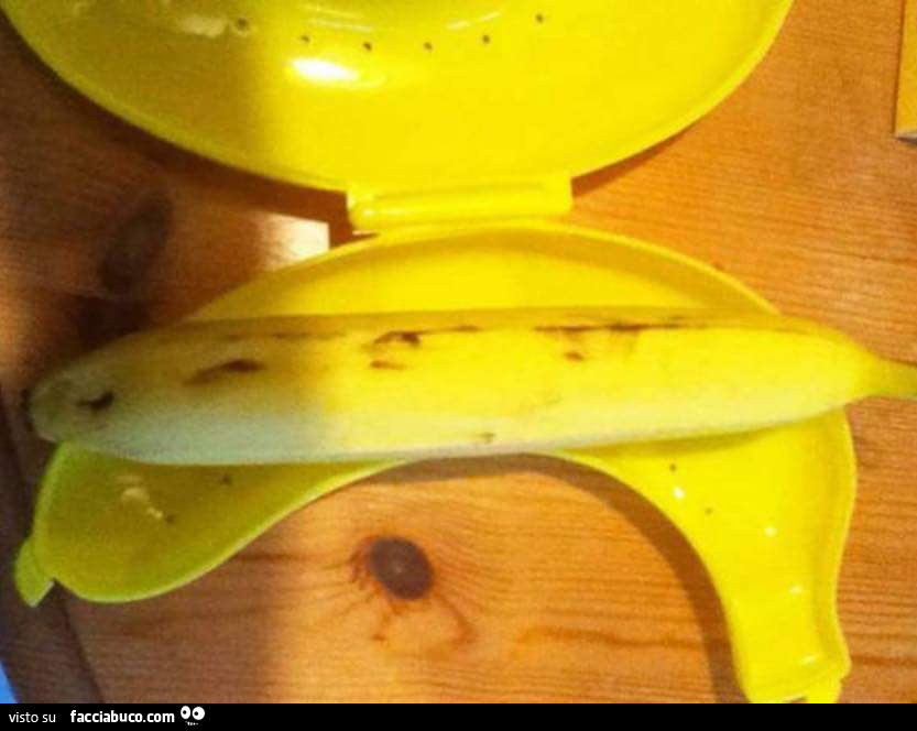 Banana dritta nel contenitore curvo