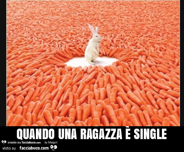 Coniglio bianco in mezzo alle carote. Quando una ragazza è single