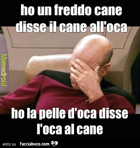 Ho un freddo cane disse il cane all'oca. Ho la pelle d'oca disse l'oca al cane