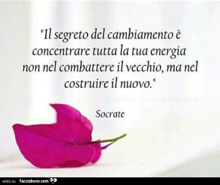 Il segreto del cambiamento è concentrare tutta la tua energia non nel combattere il vecchio, ma nel costruire il nuovo. Socrate