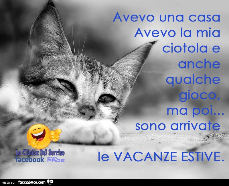 Avevo una casa avevo la mia ciotola e anche qualche gioco, ma poi&hellip; sono arrivate le vacanze estive