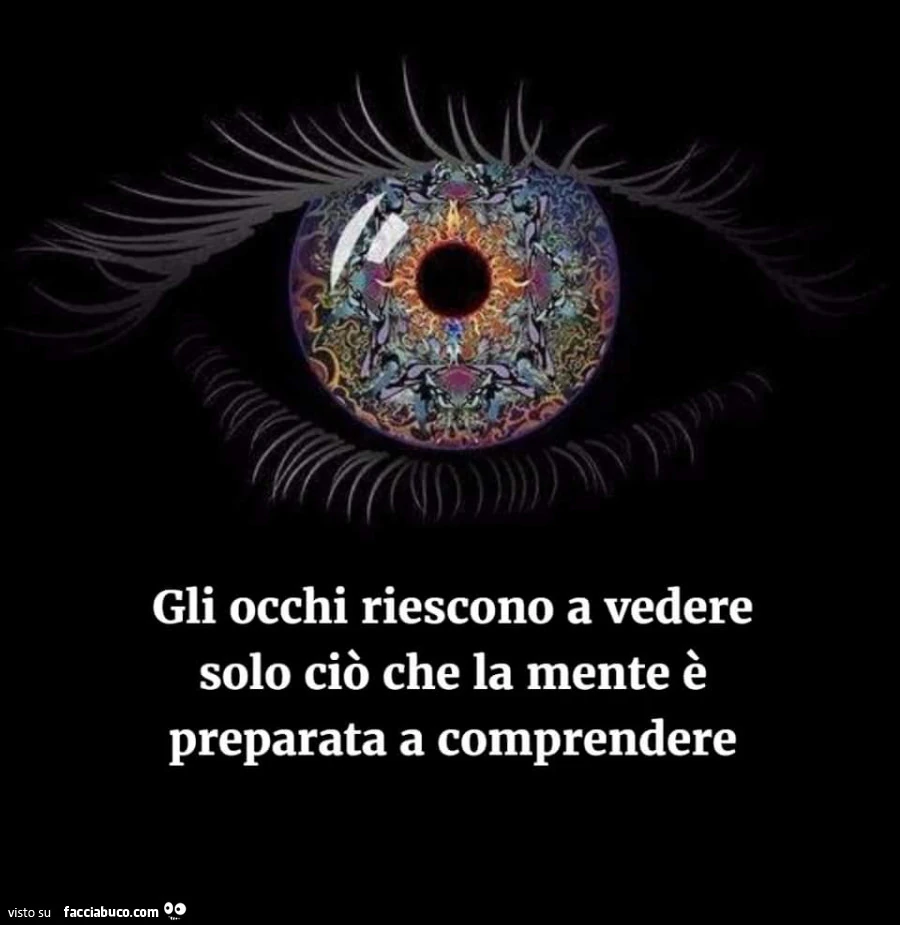Gli occhi riescono a vedere solo ciò che la mente è preparata a comprendere