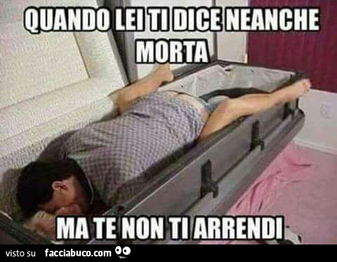 Quando lei ti dice neanche morta ma te non ti arrendi