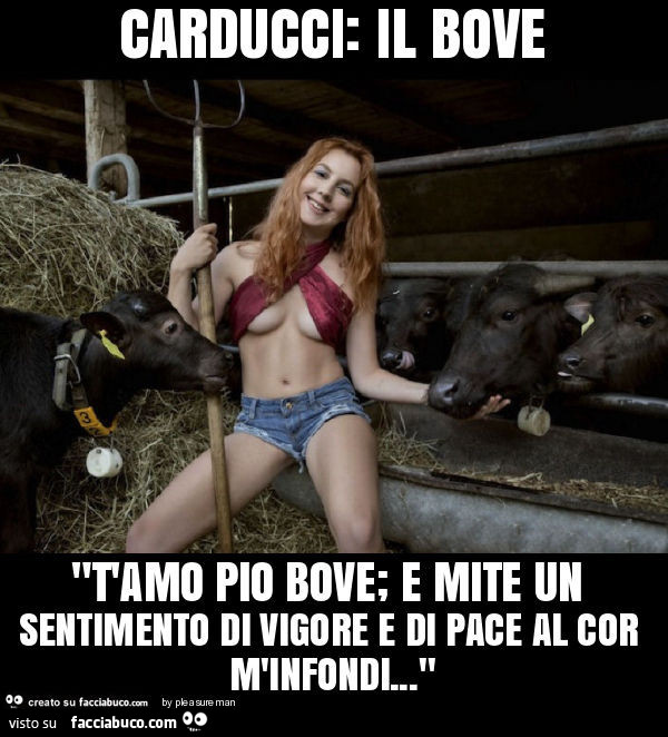 Carducci: il bove. T'amo pio bove; e mite un sentimento di vigore e di pace al cor m'infondi