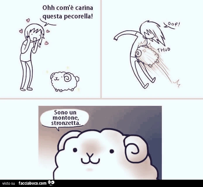 Ohh com'è carina questa pecorella. Sono un montone stronzetta
