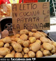 Vaccata