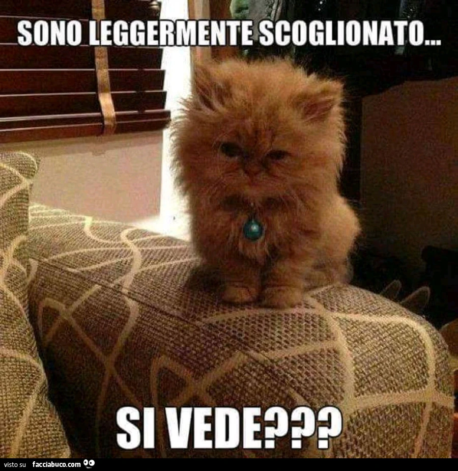 Sono leggermente scoglionato&hellip; si vede?