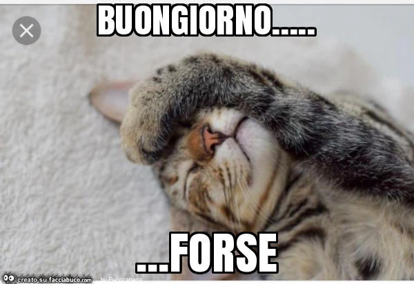 Buongiorno&hellip; forse