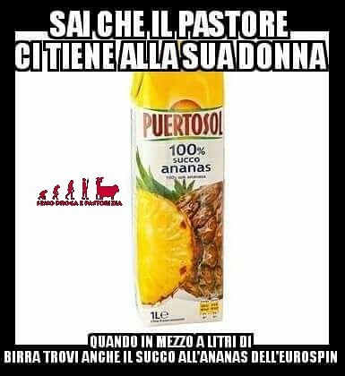 meme di vita da delinquente espresso di ananas