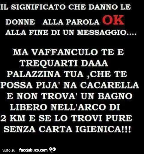 Il significato che danno le donne alla parola ok alla fine di un messaggio ma vaffanculo te e trequarti daaa palazzina tua