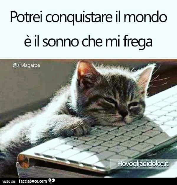 Potrei conquistare il mondo, è il sonno che mi frega