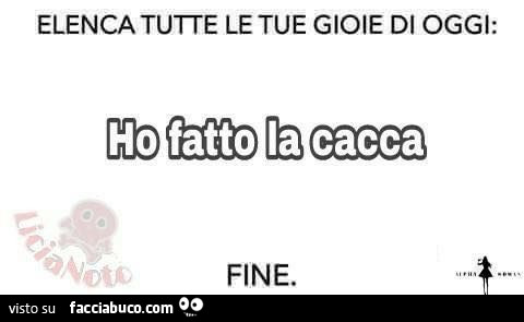 Elenca tutte le tue gioie di oggi: ho fatto la cacca. Fine