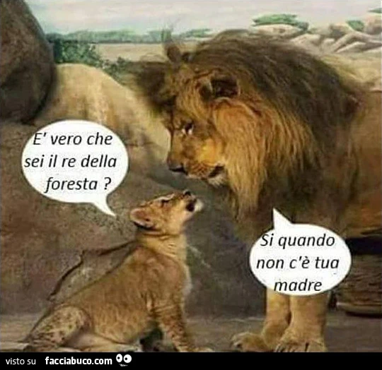 È vero che sei il re della foresta. Si quando non c'è tua madre