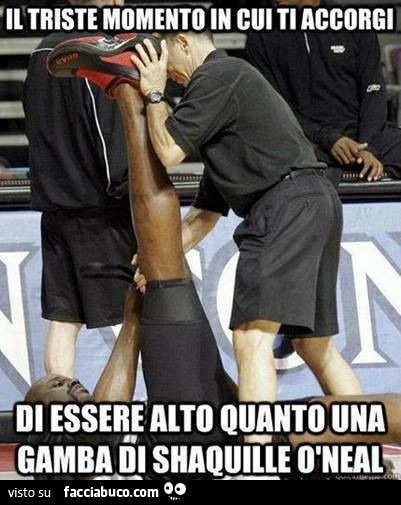 Il triste momento in cui ti accorgi di essere alto quanto una gamba di Shaquille ò Neal