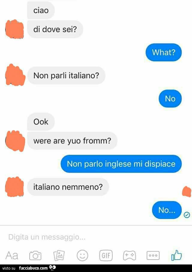 Ciao di dove sei? What? Non parli italiano? No. Ook. Were are yuo fromm? Non parlo inglese mi dispiace. Italiano nemmeno? No