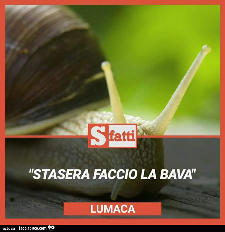 Stasera faccio la bava