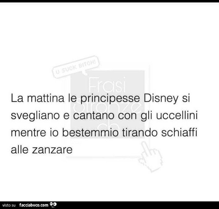 La mattina le principesse disney si svegliano e cantano con gli uccellini mentre io bestemmio tirando schiaffi alle zanzare