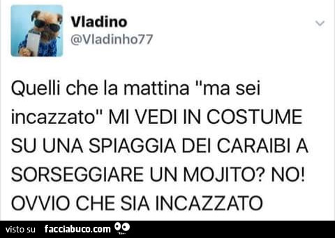 Quelli che la mattina ma sei incazzato. Mi vedi in costume su una spiaggia dei caraibi a sorseggiare un mojito? No! Ovvio che sia incazzato