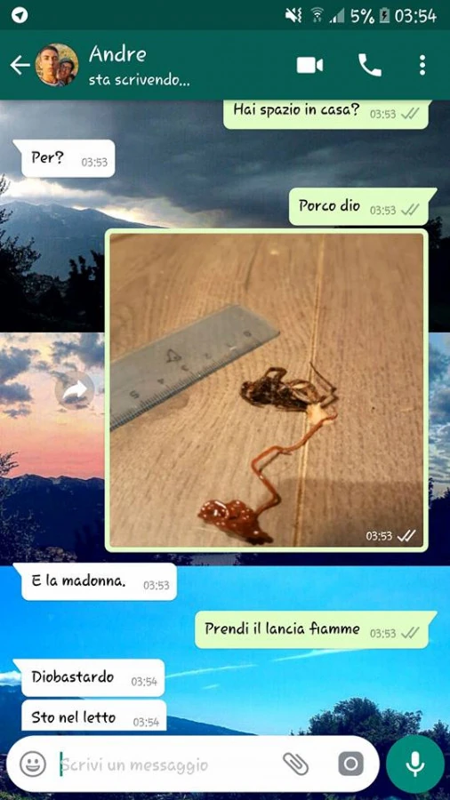 Vaccata